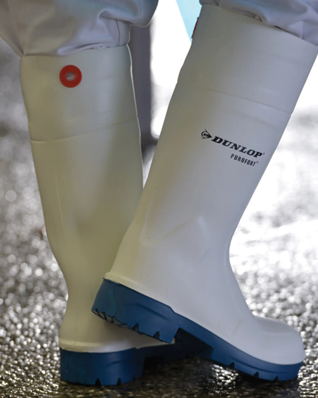 Vista de la bota Dunlop Foodpro Multigrip Safety puesta