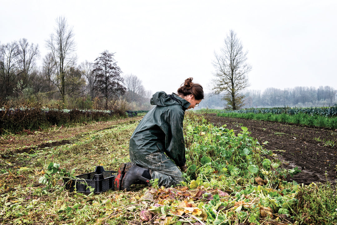 Agricultora trabajando en el campo con las botas Dunlop Snugboot Pioneer